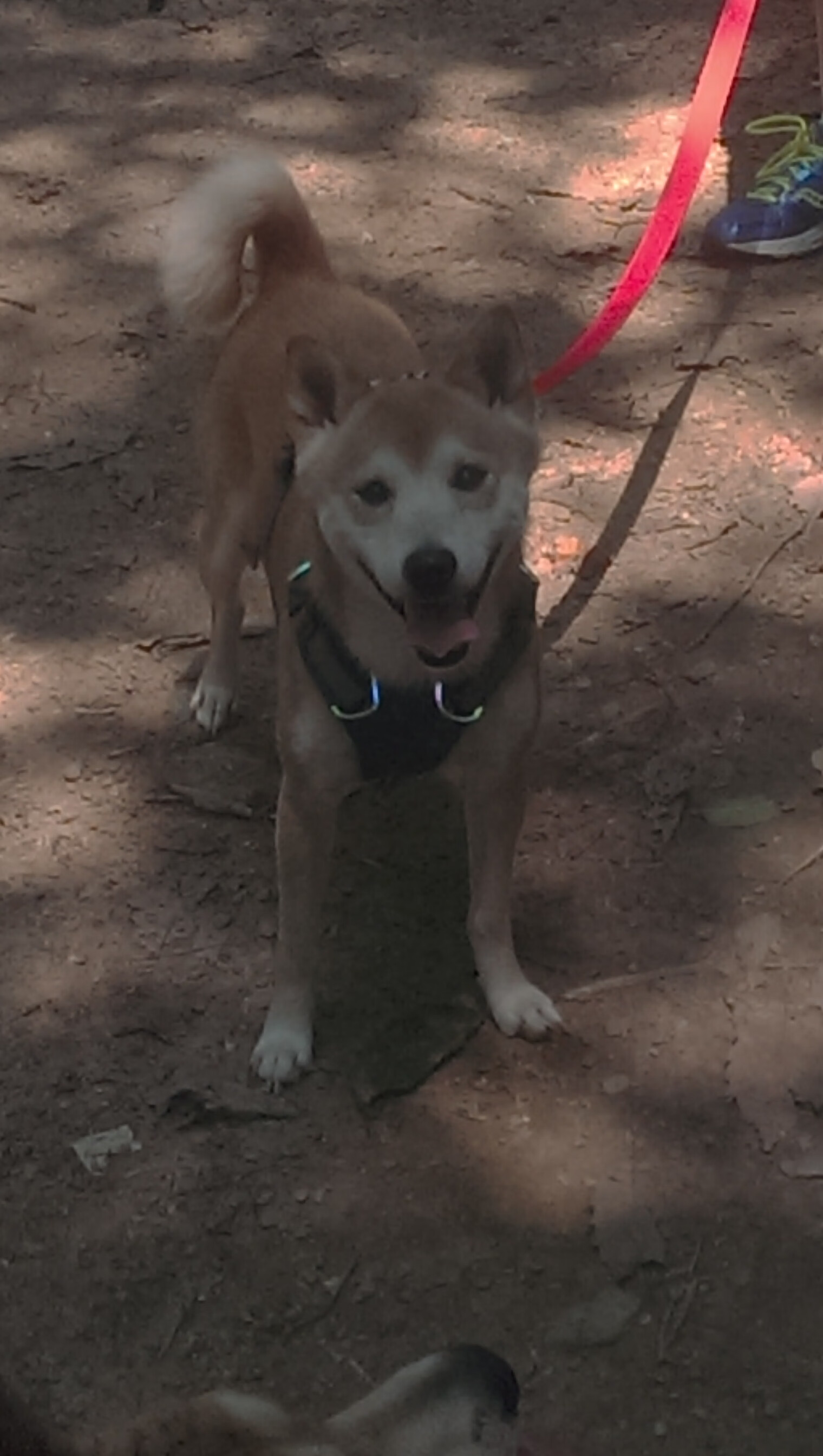 地级市足球基础设施建设持续推进，赛场环境全面改善，足球基地建设标准